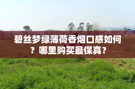 碧丝梦绿薄荷香烟口感如何？哪里购买最保真？